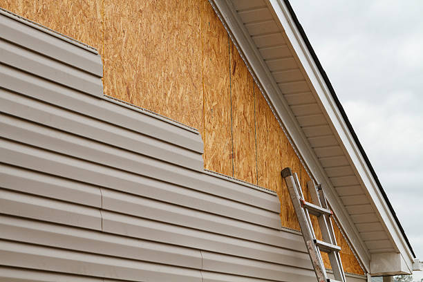 Professional Wood Siding technician working in Hamilton, TX